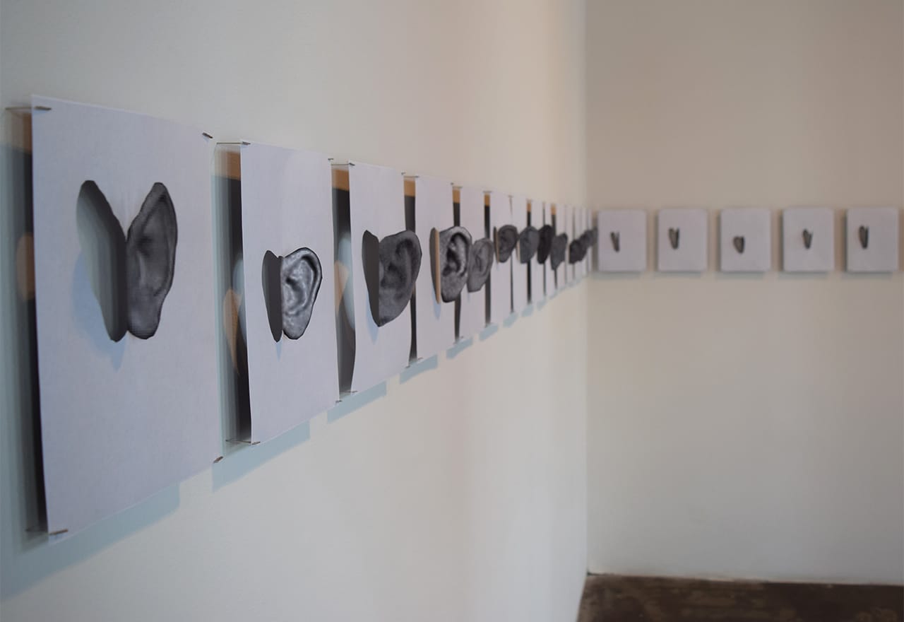 Detail of Jisun Beak, "The King has Donkey's Ear" (2013)