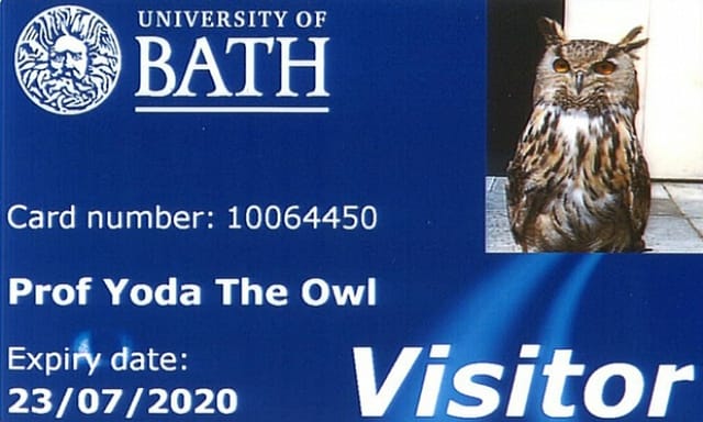 Library card given this month to Yoda the Owl from the University of Bath, in thanks for keeping the intrusive seagull population at bay (via University of Bath)