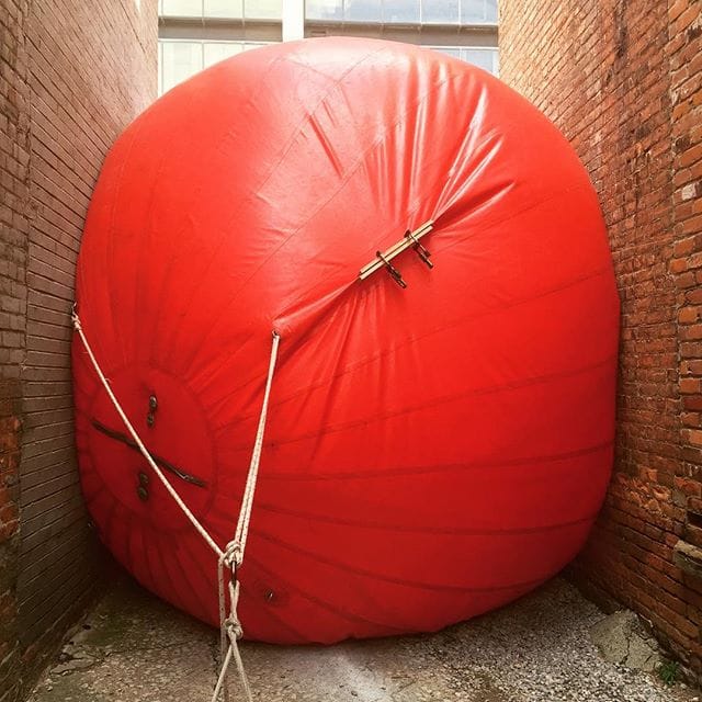 (photo by @the_sassy_ostrich/Instagram)