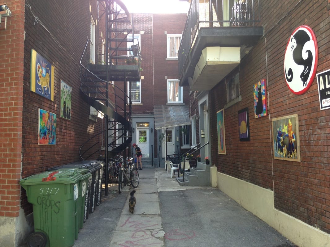 Humbert in Alley Cat Gallery (all images courtesy John Jordan)