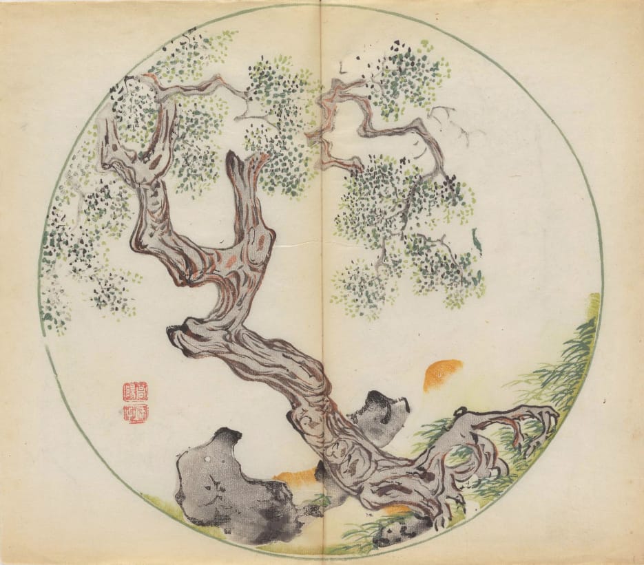 'Shi zhu zhai shu hua pu' (Chinese, 1633), polychrome xylographic print (courtesy Cambridge University Library)