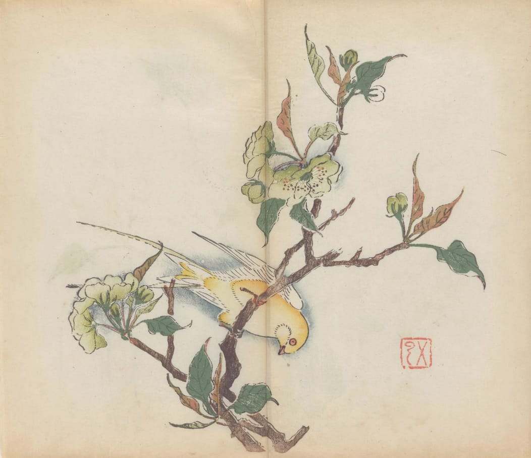 'Shi zhu zhai shu hua pu' (Chinese, 1633), polychrome xylographic print (courtesy Cambridge University Library)