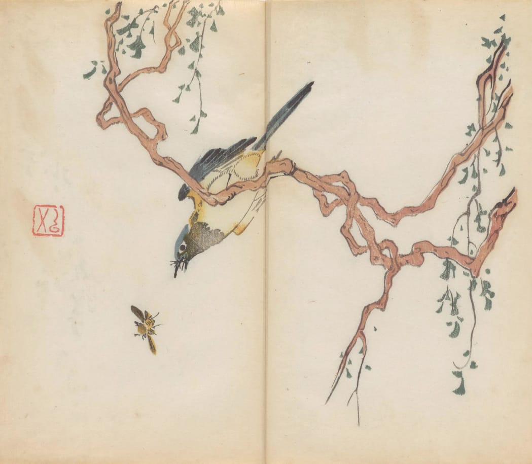 'Shi zhu zhai shu hua pu' (Chinese, 1633), polychrome xylographic print (courtesy Cambridge University Library)