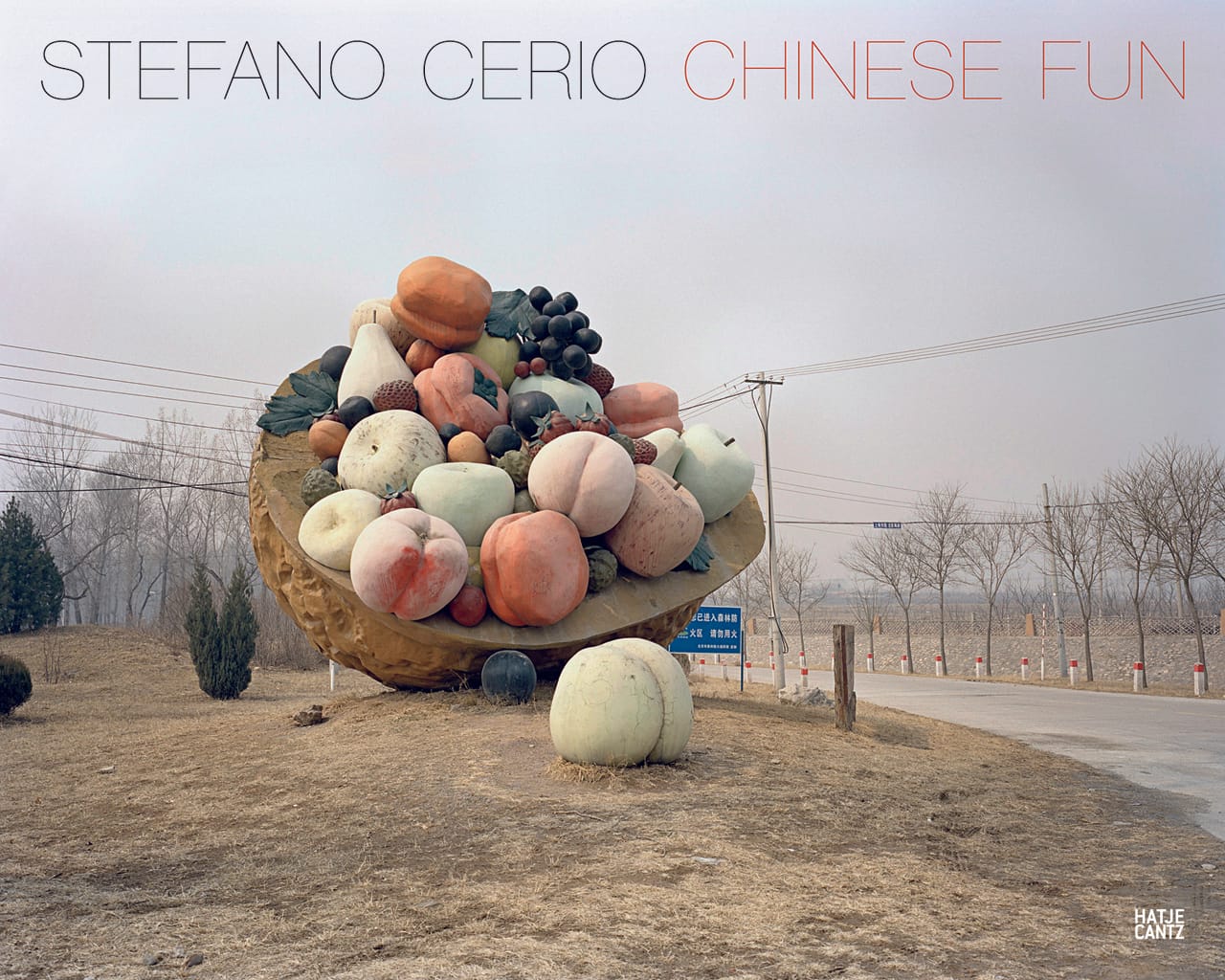 Cover of 'Stefano Cerio: Chinese Fun'