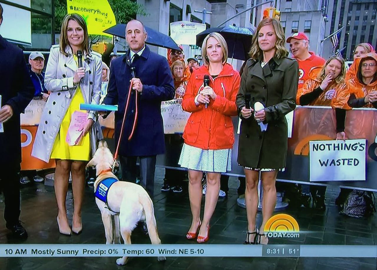 One of Christie Blizard's appearances on 'TODAY' (all photos courtesy the artist unless indicated otherwise)