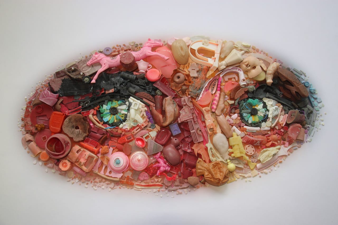 Commission for Sierra magazine cover (2014)