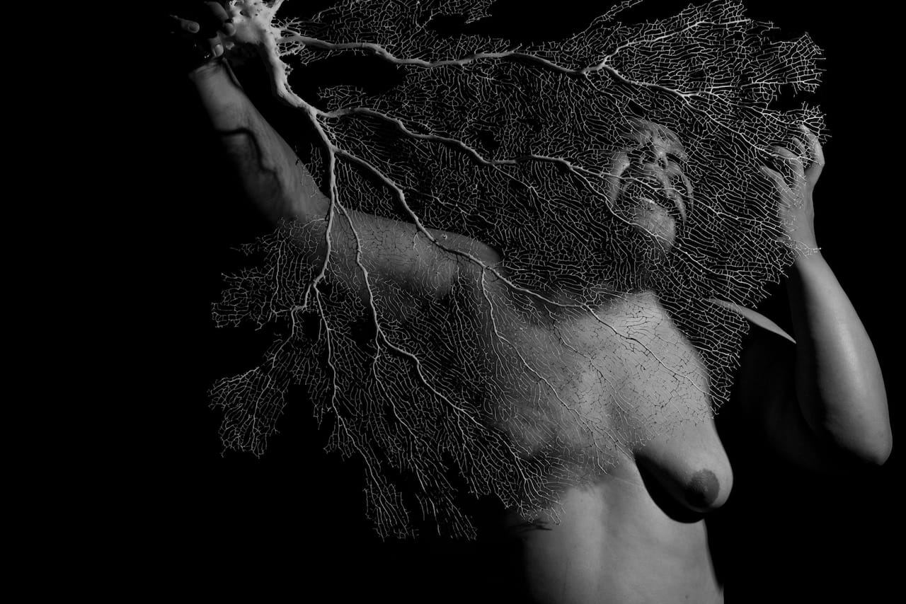 Dorian Wood (photo credit: San Raquel, via welcometolace.org)