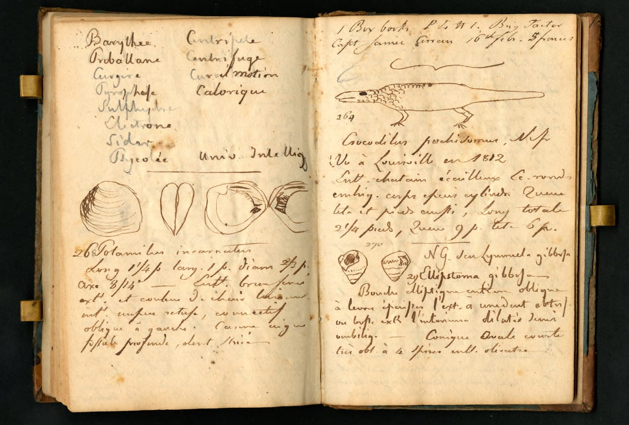 Notebook kept by Constantine Samuel Rafinesque on a trip from Philadelphia to Kentucky, 1818 (courtesy the Biodiversity Heritage Library, digitized by Smithsonian Institution Archives)