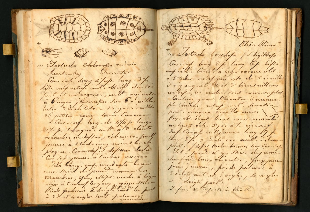 Notebook kept by Constantine Samuel Rafinesque on a trip from Philadelphia to Kentucky, 1818 (courtesy the Biodiversity Heritage Library, digitized by Smithsonian Institution Archives)