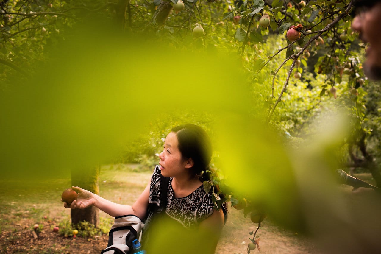 "Heirloom" by Shin Yu Pai in Piper's Orchard, Carkeek Park, Seattle (photo by Katy Tuttle)