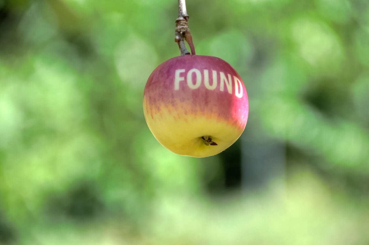 "Heirloom" by Shin Yu Pai in Piper's Orchard, Carkeek Park, Seattle (photo by Thendara Kida-Gee)