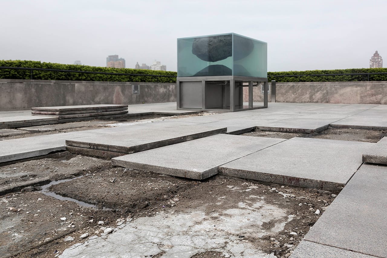Installation view of 'The Roof Garden Commission: Pierre Huyghe' at the Metropolitan Museum of Art, 2015 (photo by Hyla Skopitz, the Photograph Studio, the Metropolitan Museum of Art, © 2015)