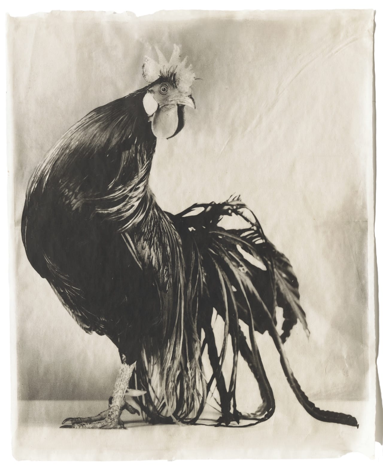 I-1 Black #5, 2005 Kopie