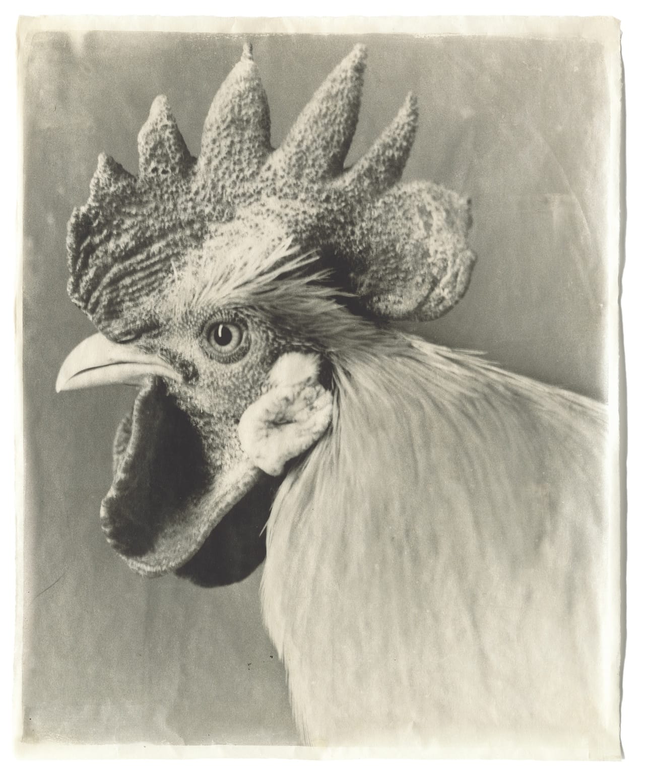 II-1 White #12, 2005 Kopie