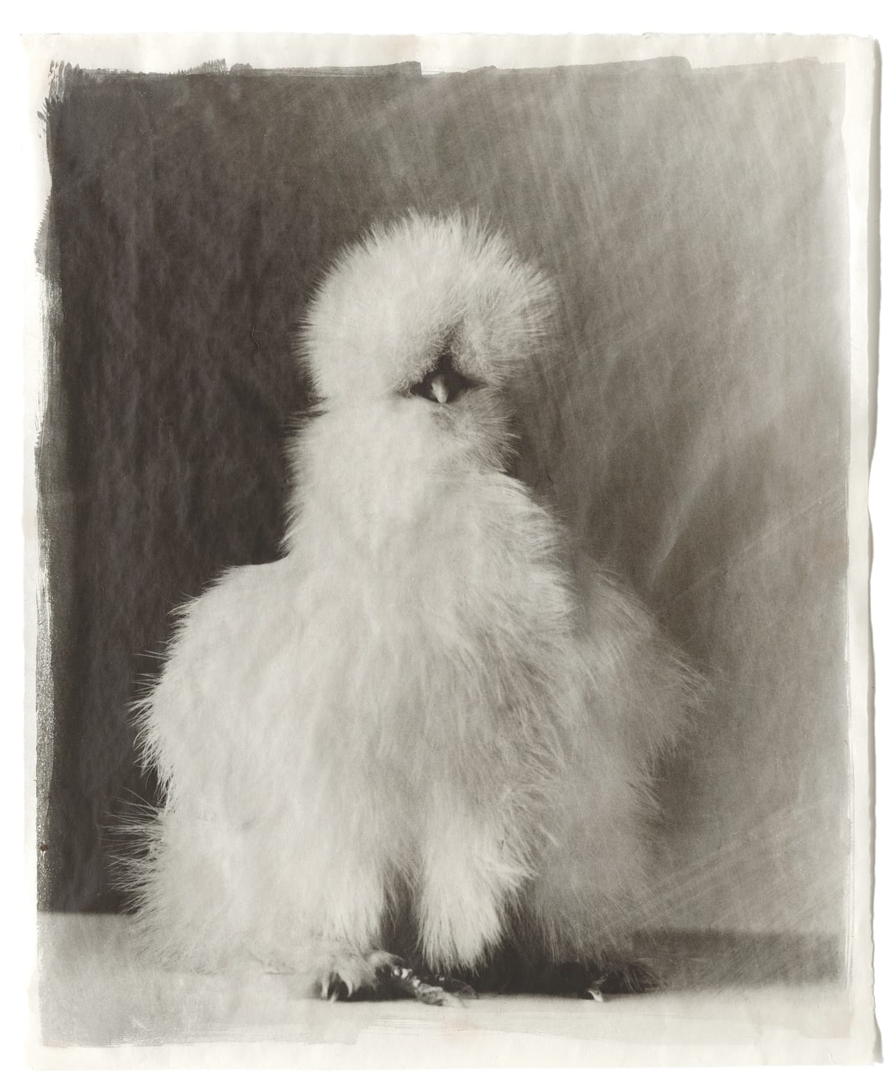 II-7 White #22, 2009 Kopie