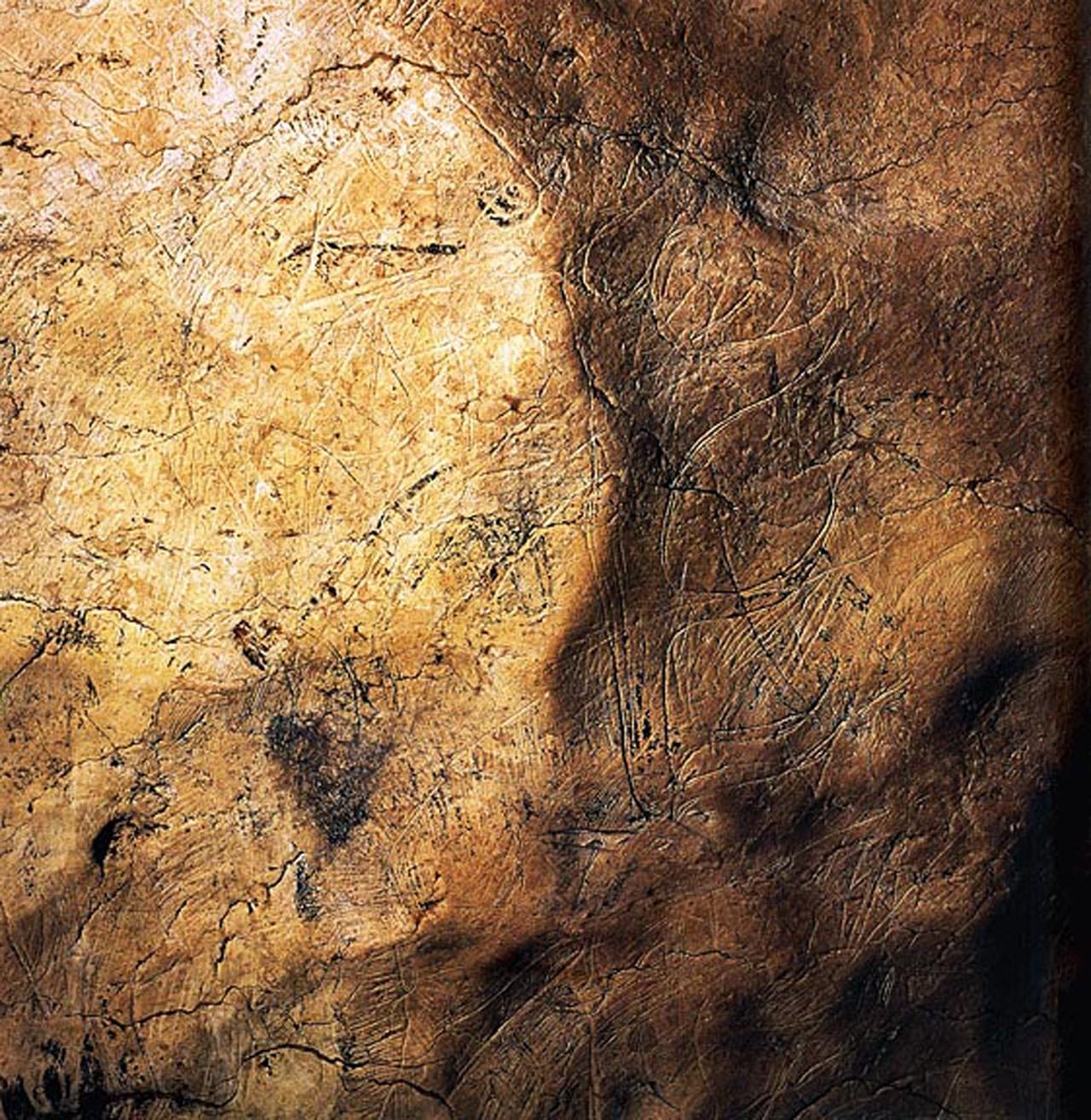 Lascaux Apse detail © Norbert Aujoulat