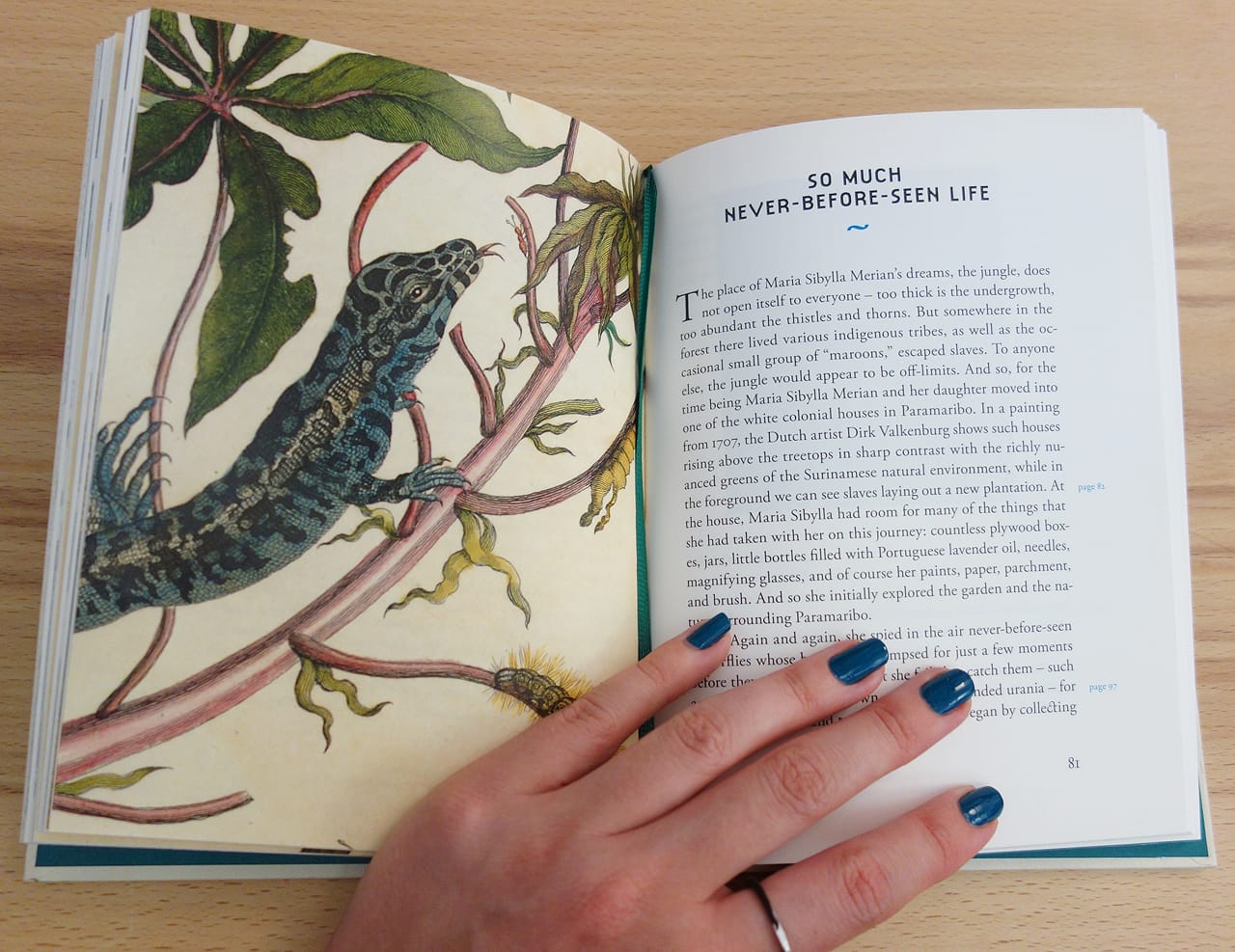 Pages from 'A Butterfly Journey' (photo of the book for Hyperallergic)