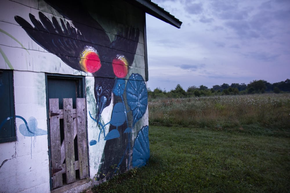 Mural at the Pickering Creek Audubon Sanctuary in Easton, Maryland (photo by Jessica Stewart)