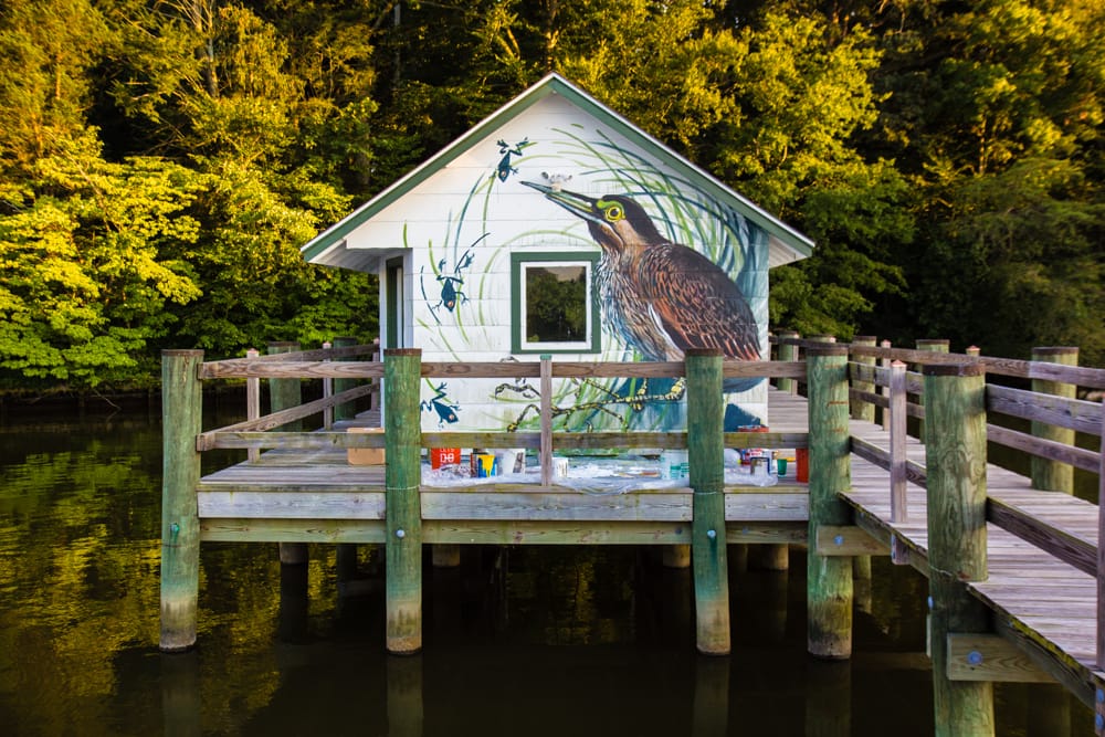 Mural at the Pickering Creek Audubon Sanctuary in Easton, Maryland (photo by Jessica Stewart)