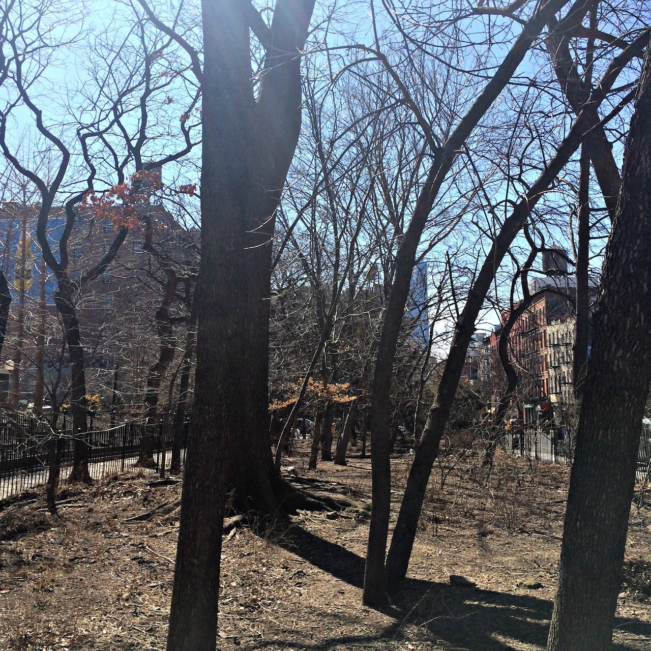 "Time Landscape" by Alan Sonfist (photo by the author for Hyperallergic)