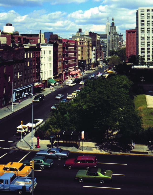"Time Landscape" archival view (photo by Alan Sonfist, via Wikimedia)