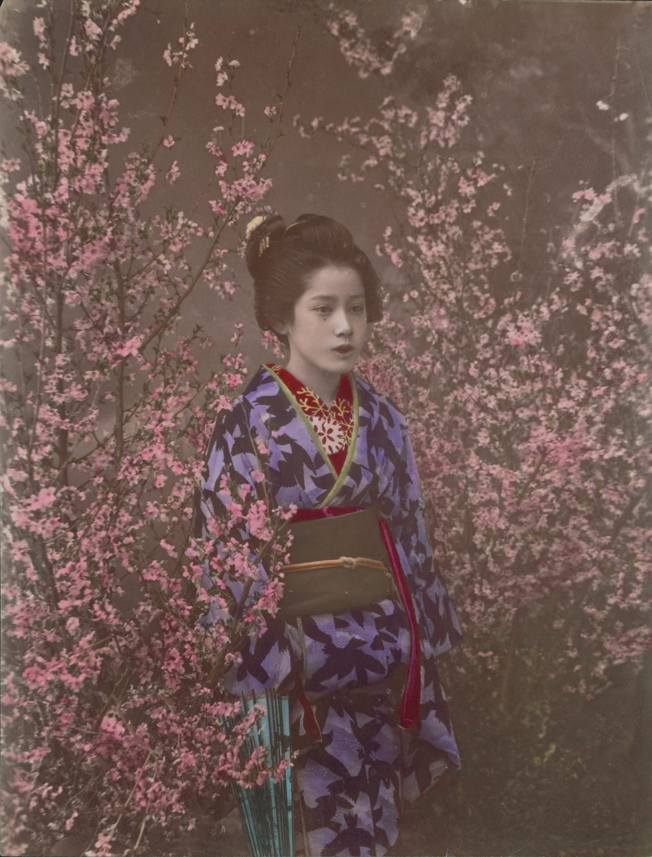 Ogawa Kazumasa: A Damsel - Maiko cherry blossom time, circa 1890. albumin paper, colored, 27,0 x 20,6 cm . © National Museums in Berlin, Ethnological Museum. All images courtesy of Berlin State Museums.