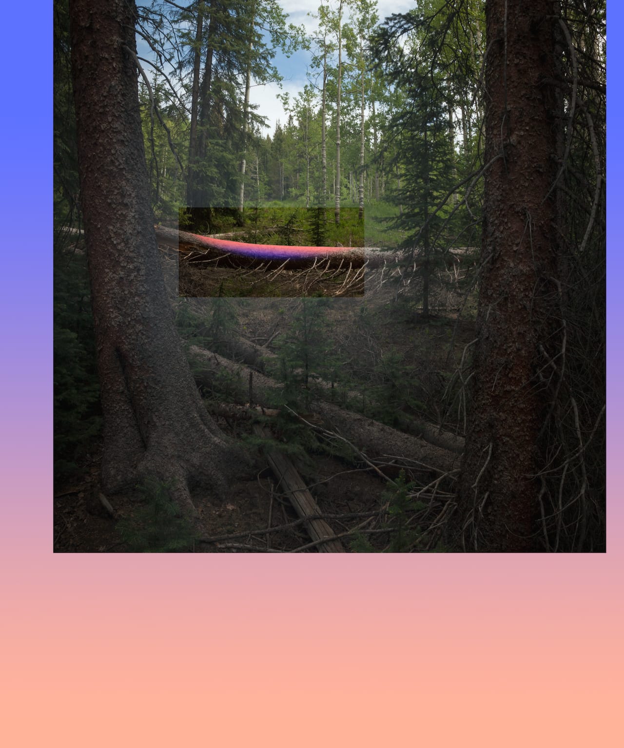 Mark Dorf, "Emergent #19" (2014)