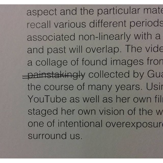 Edited wall text for Guan Xiao's work (photo by @gilinsky/Instagram)