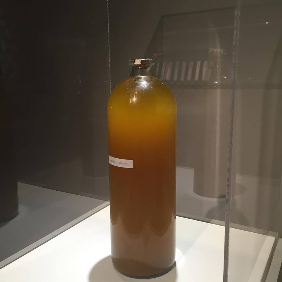 Death Convention Singers