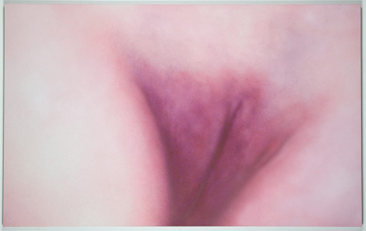 Ersatz Cunt Painting #1, 2015 photo credit: image courtesy of the artist.