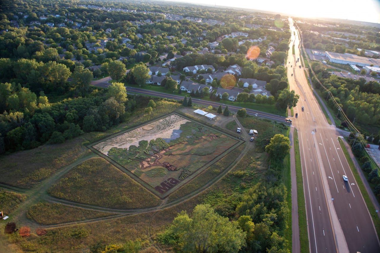 Stan Herd's crop art from above