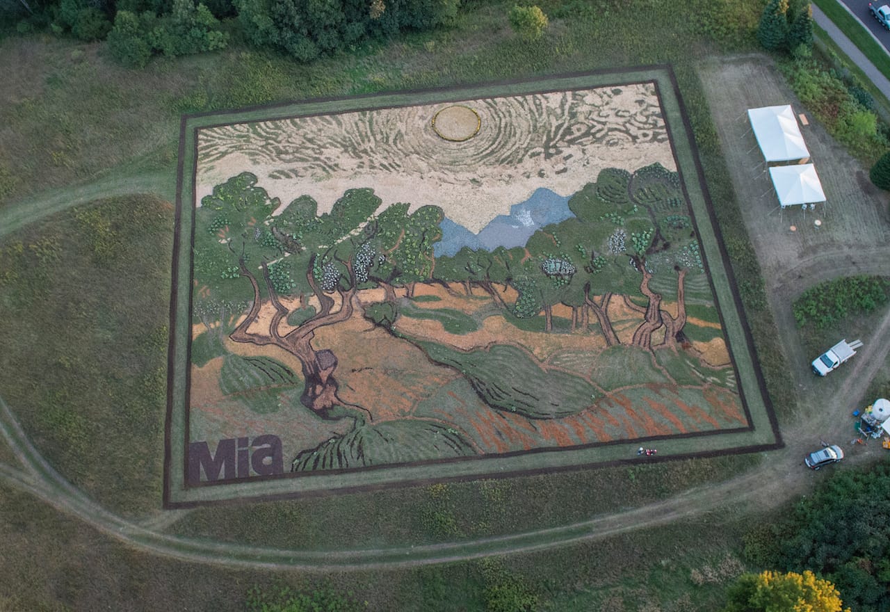 Stan Herd's crop art from above