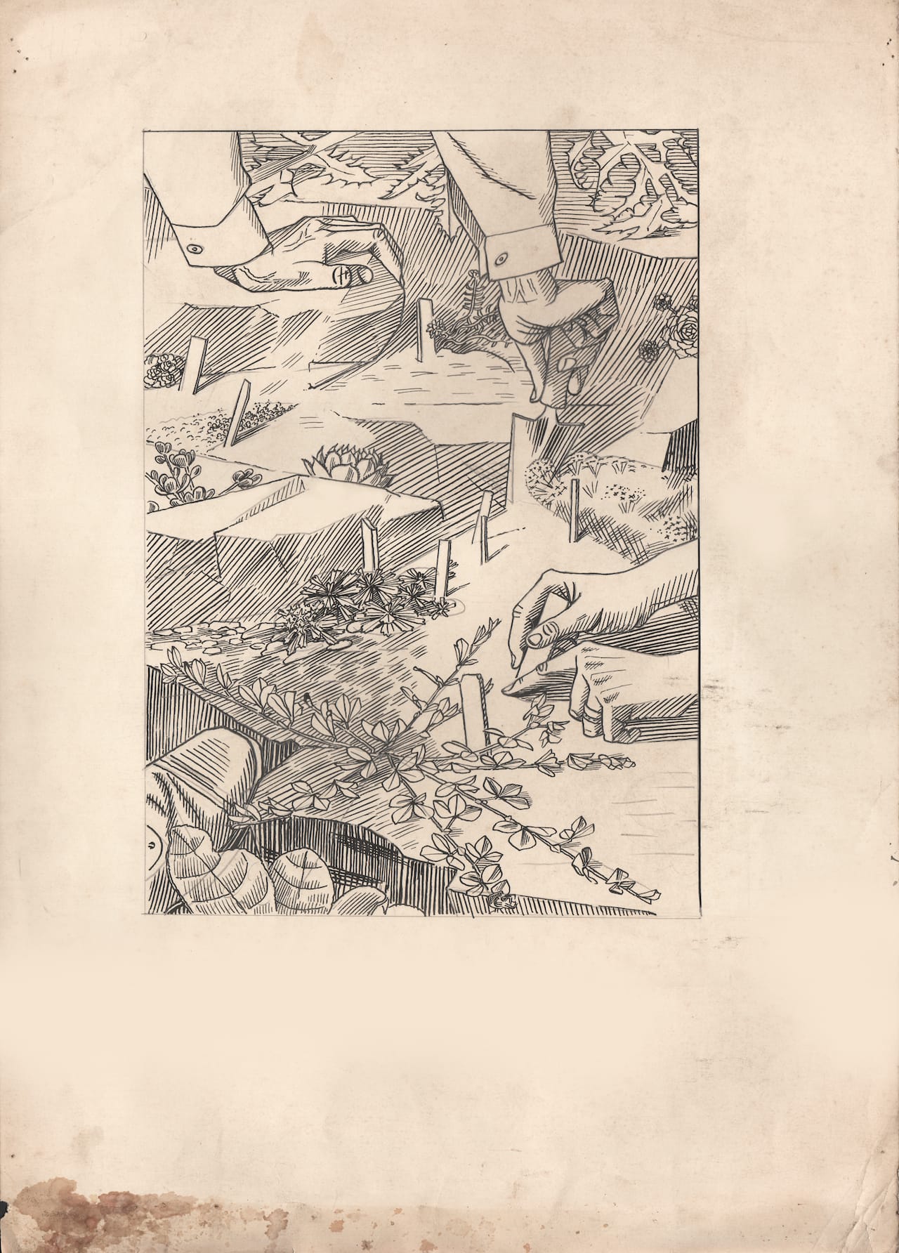 Evelyn Dunbar, Study for the frontispiece of "Gardener's Diary" (1937), pencil, pen & ink on paper (© The Artist's Estate, courtesy of Liss Llewellyn Fine Art)