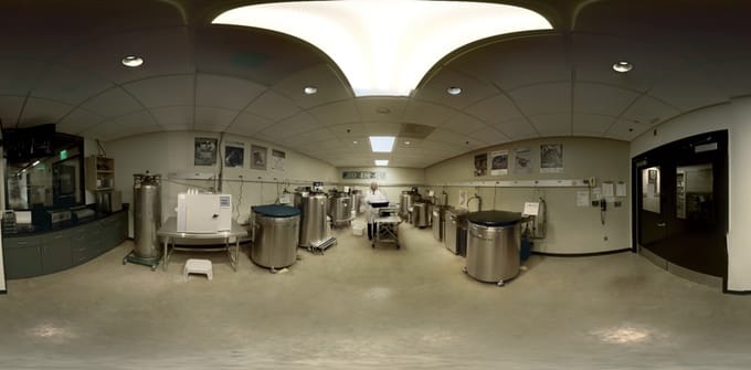 Frozen Zoo at the San Diego Zoo