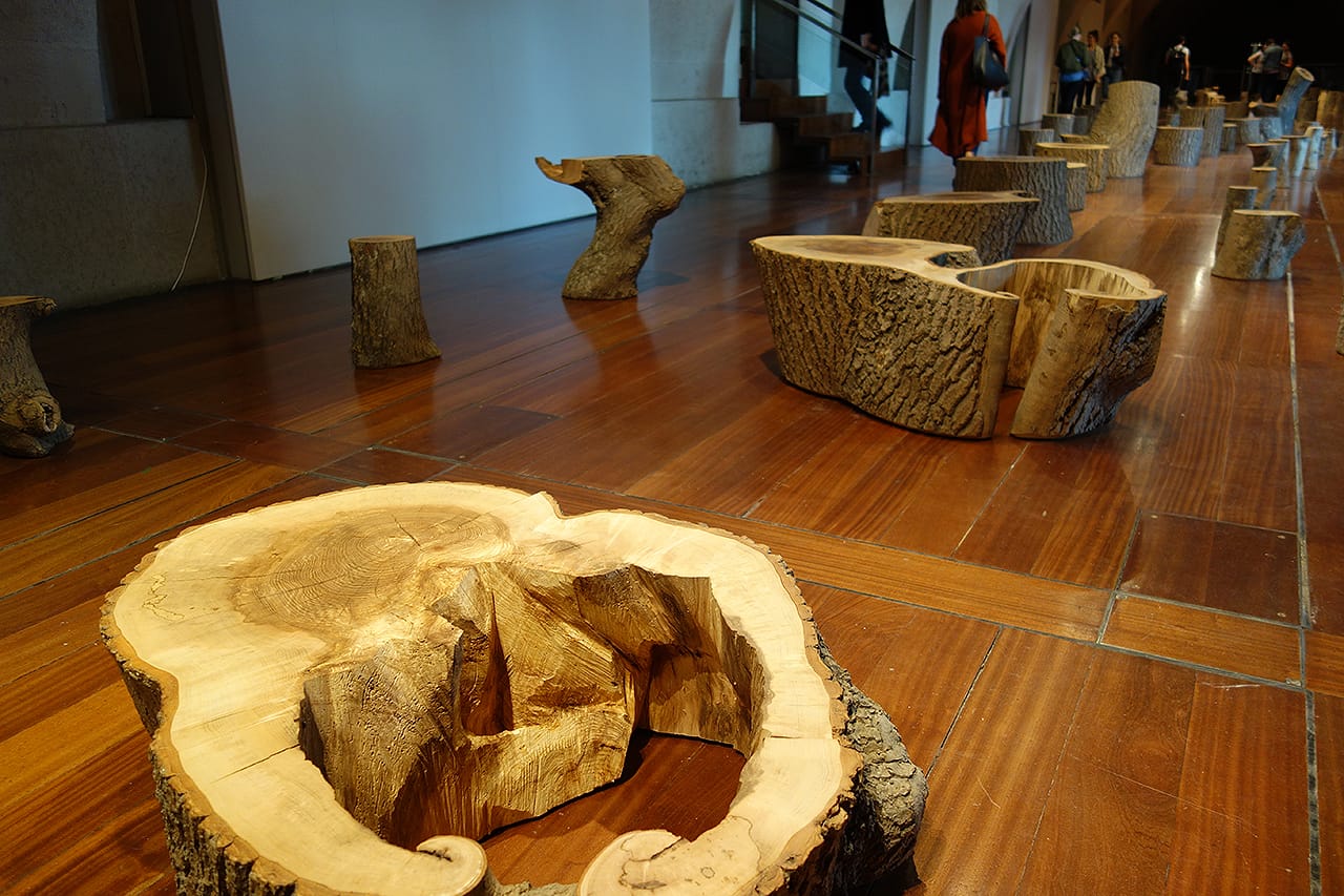 Max Lamb 'My Grandfather's Tree' at Somerset House