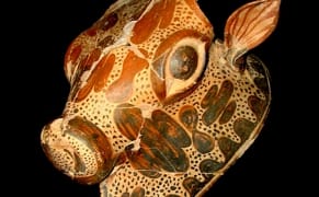 Discovery of Ancient Greek 'Palace' Reveals Fragments of a Lost Language