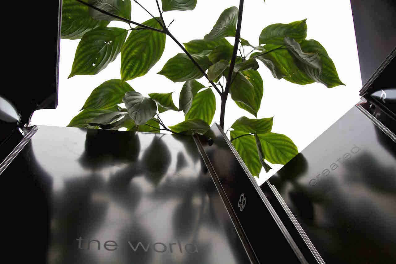 Inside "A Wandering Sukkah" (2015) (click to enlarge)