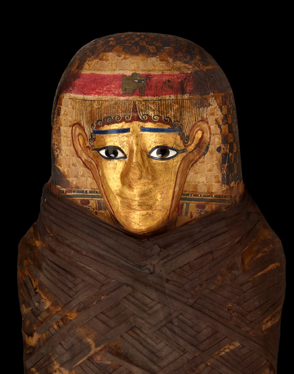 An ancient Egyptian mummy known as the Gilded Lady, with a headdress made of cartonage (glued layers of papyrus or linen) and covered with gilding. The golden skin signified divinity (© 2015 The Field Museum, photo by John Weinstein)