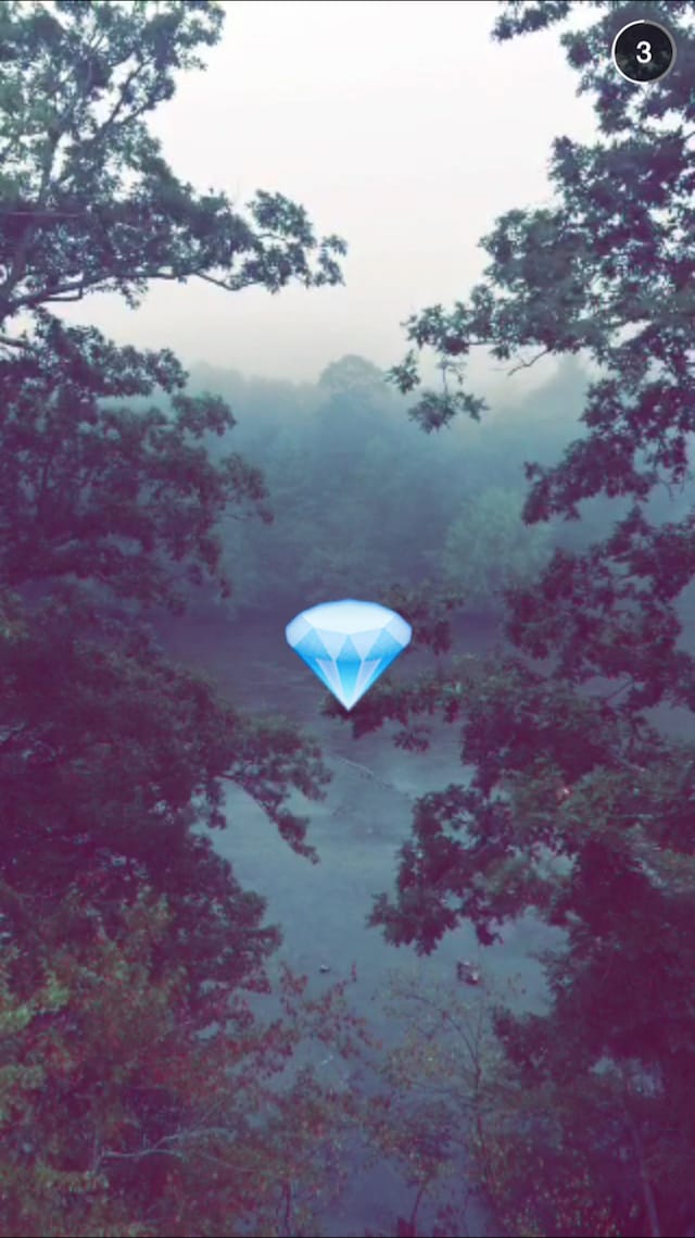 A Snapchat image by Roxana Azar (Courtesy )