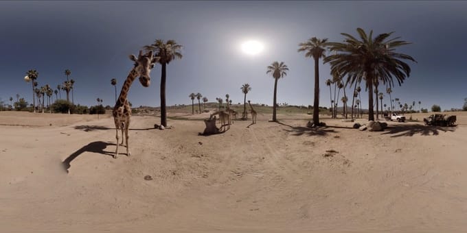 A 360° view of The San Diego Zoo's Safari park