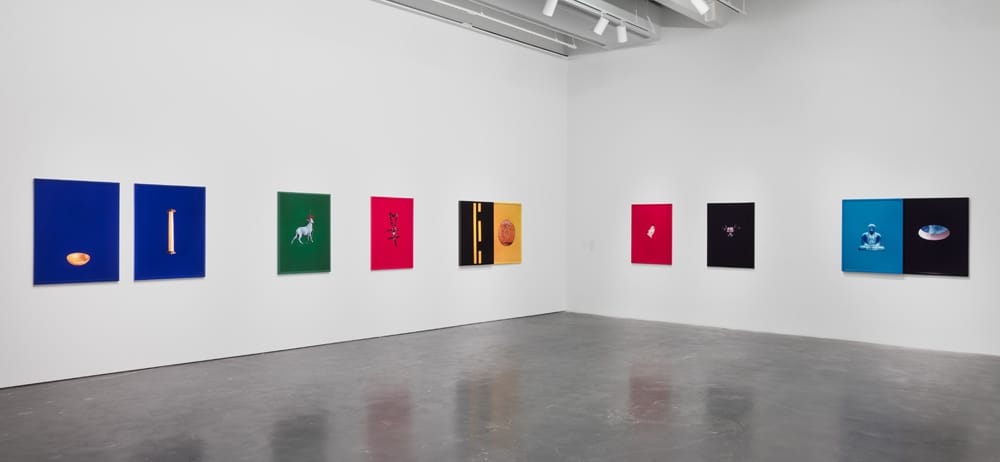 Courtesy New Museum, New York. Photo: Maris Hutchinson