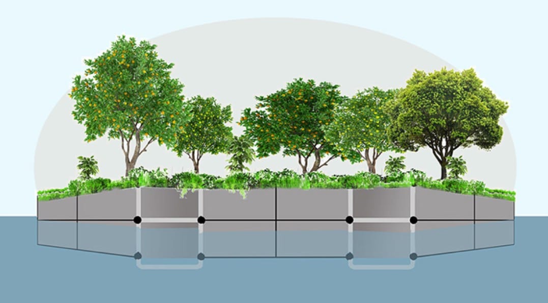Rendering of the floating food forest (courtesy Swale)