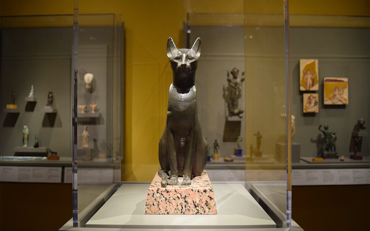A bronze statue of a cat from Egypt's Ptolemaic period (3rd–1st century BCE) in one of Morgan Great Hall's new antiquities galleries