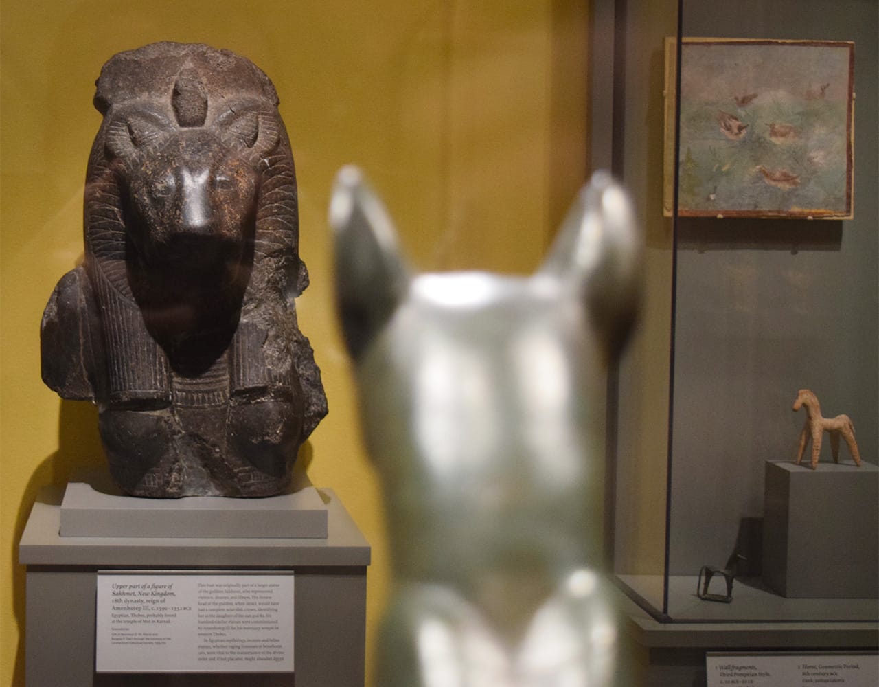 The cat statue has been installed so as to face off with the upper part of the figure of Sakhmet dating from the New Kingdom, 18th dynasty, during the reign of Amenhotep II (ca. 1390–1352 BCE) in one of Morgan Great Hall's new antiquities galleries