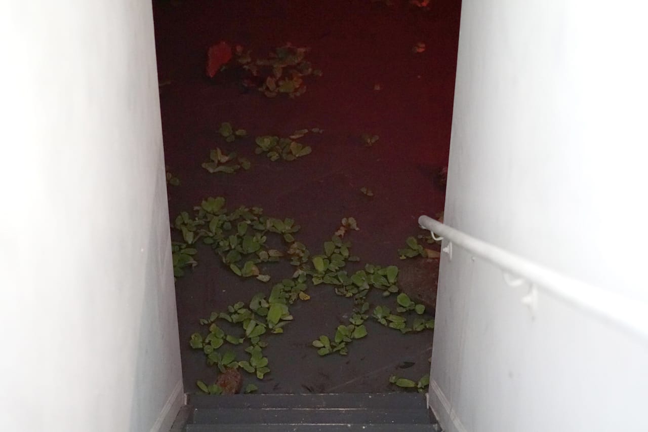 Martin Roth, "untitled (debris)" (2015)