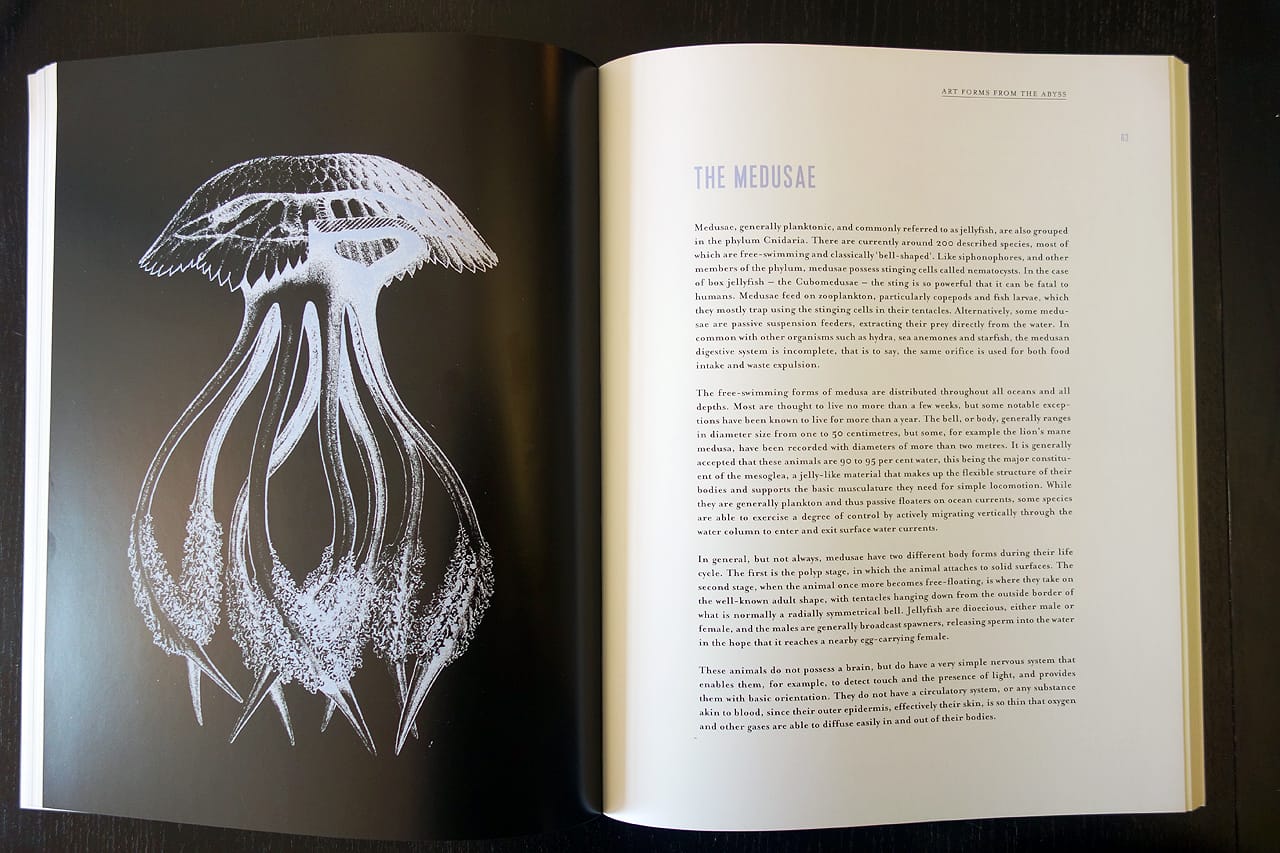 Inside 'Art Forms from the Abyss: Ernst Haeckel's Images From The Hms Challenger Expedition' (photo of the book for Hyperallergic)