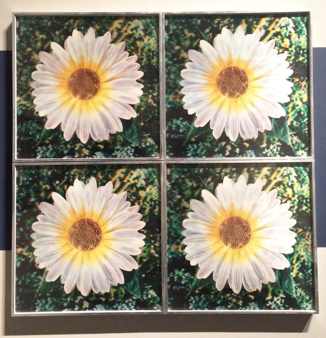 A&T_Warhol daisies