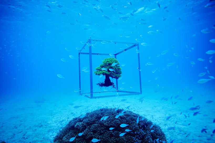 Azuma Makoto, "Shiki I x Underwater" (2015) (courtesy the artist and Zhulong Gallery)