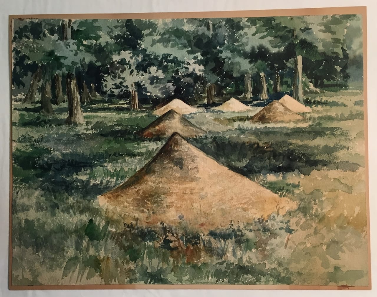 The Clergy and the Academy’s Collections