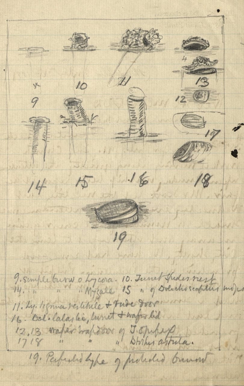 The Clergy and the Academy’s Collections